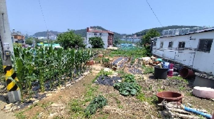 사진 9