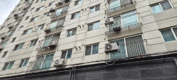 사진 1