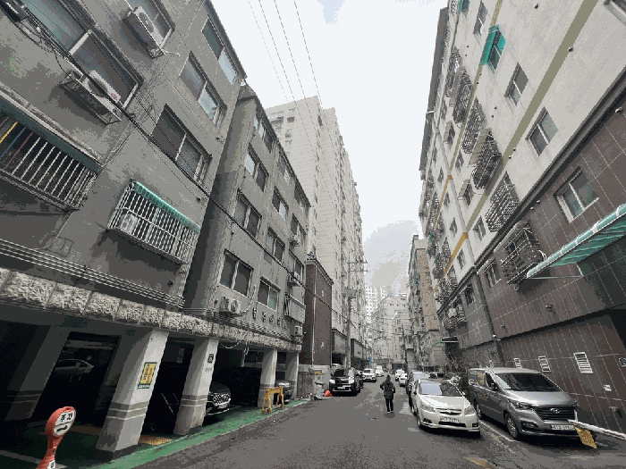 사진 6