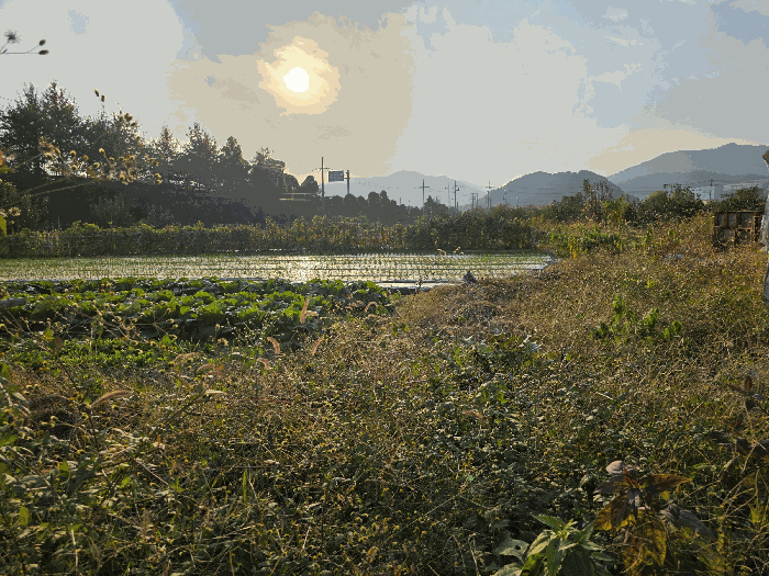 사진 16