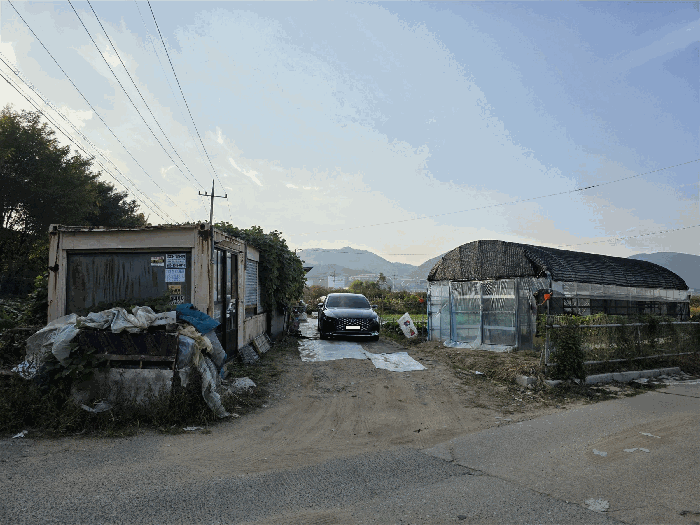 사진 6