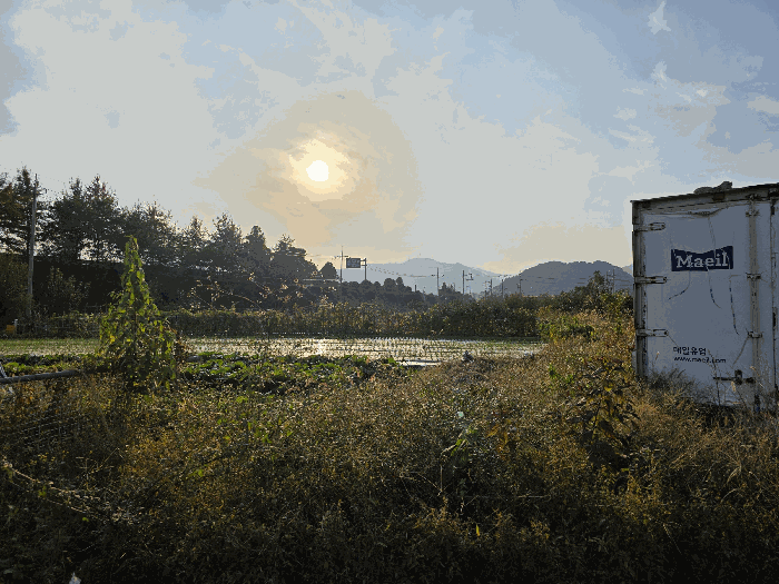 사진 7