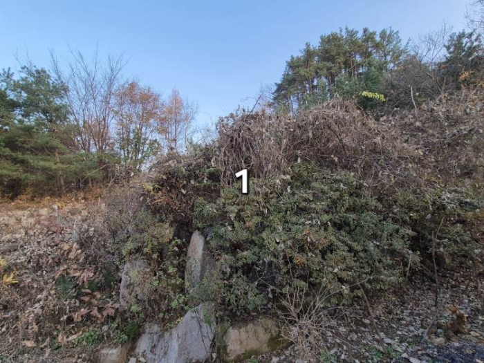 사진 6