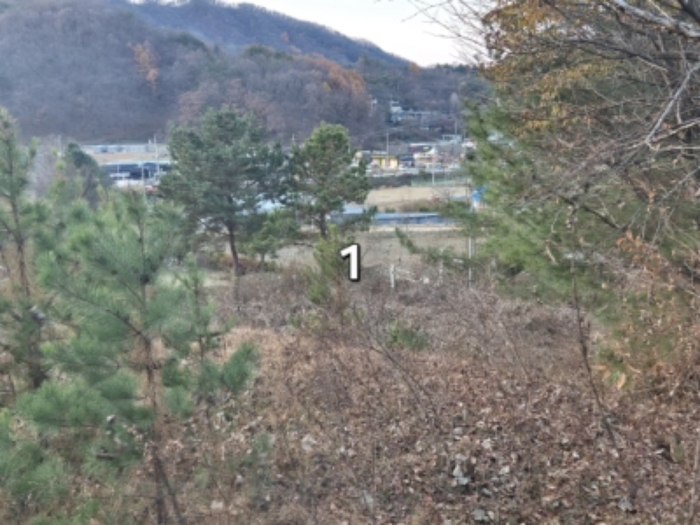 사진 7