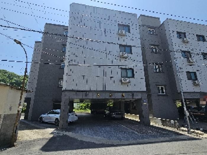 사진 59