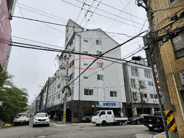 사진 7