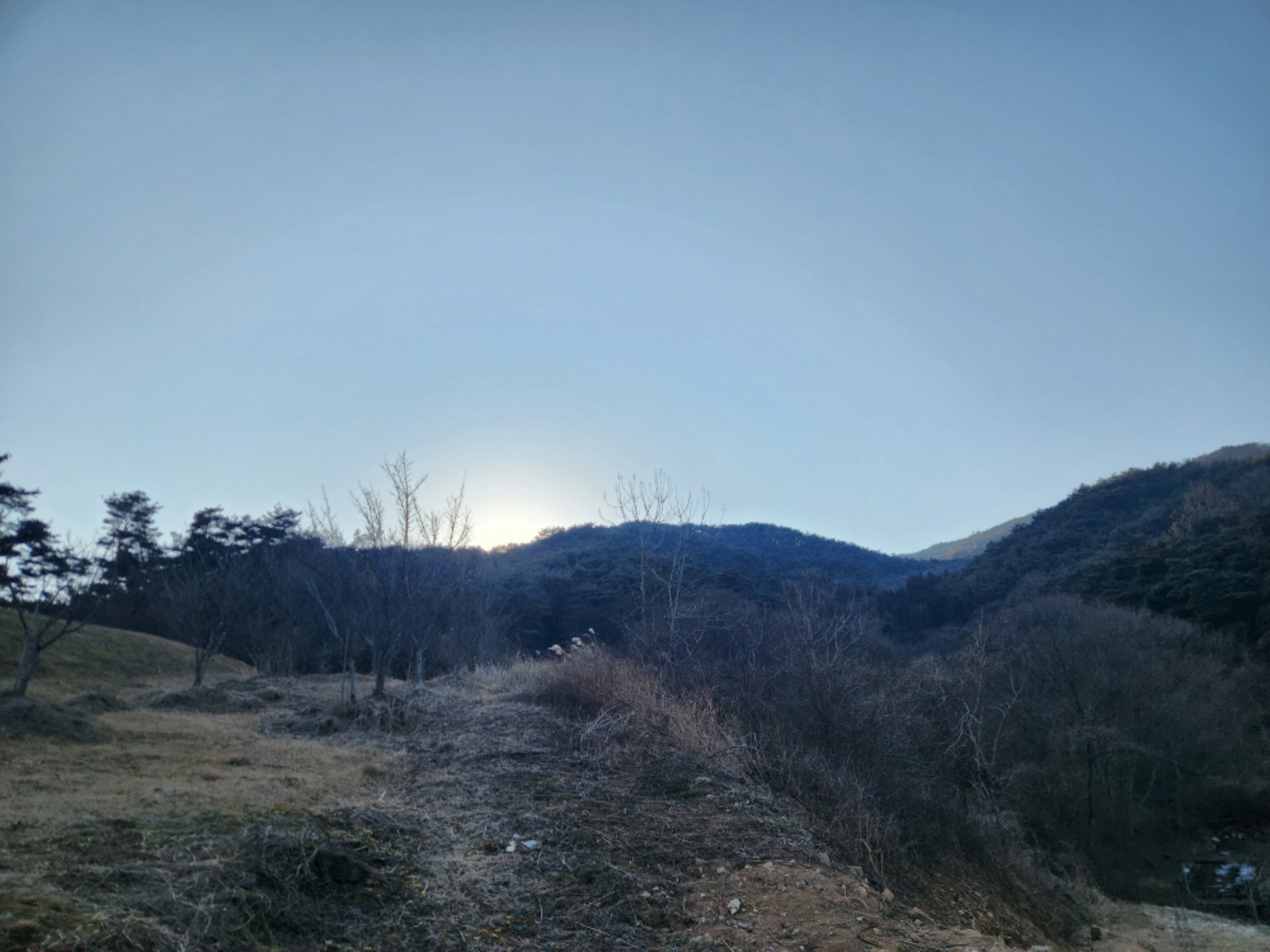 사진 1