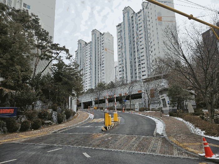 사진 11