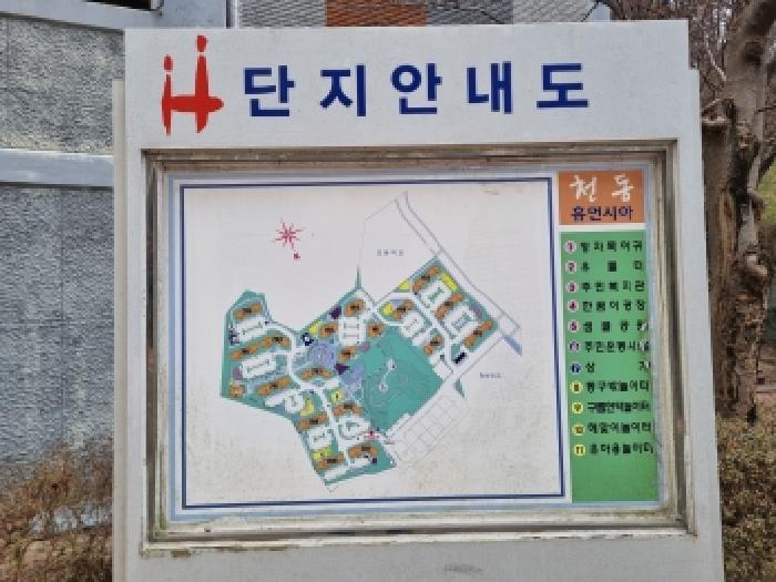 사진 3