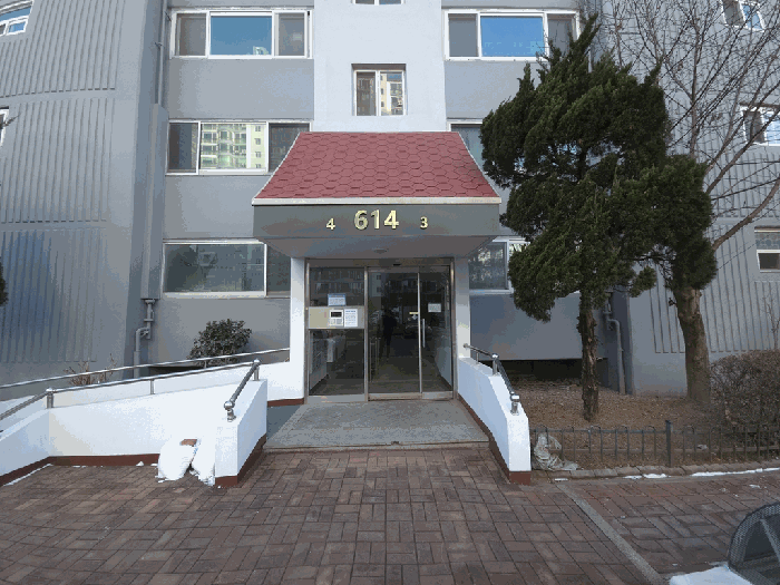 사진 8
