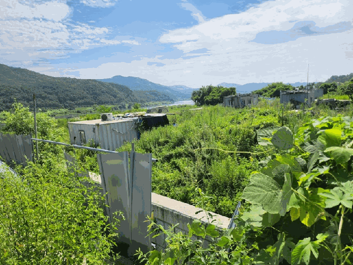 사진 13