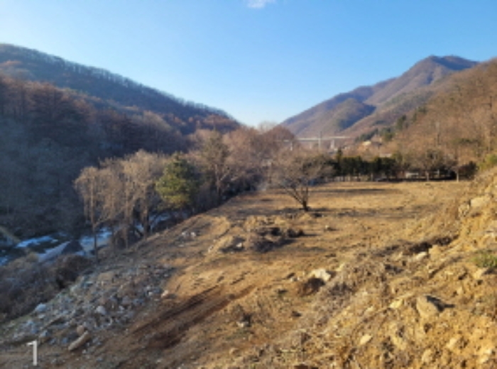 사진 2