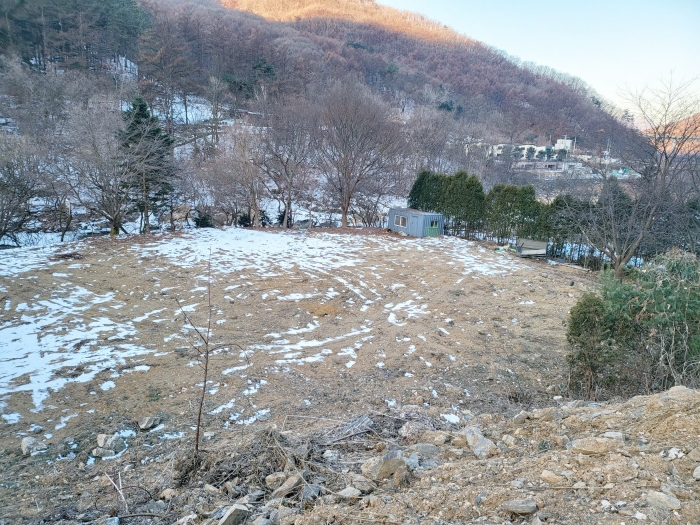 사진 12
