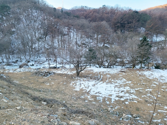 사진 14