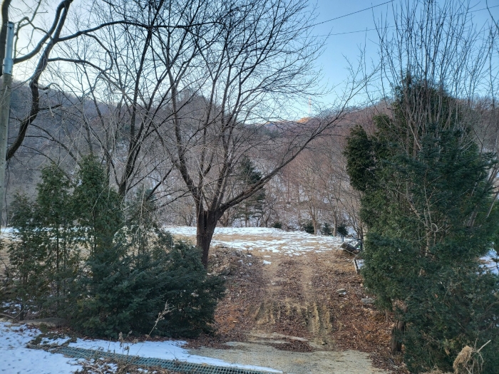 사진 15
