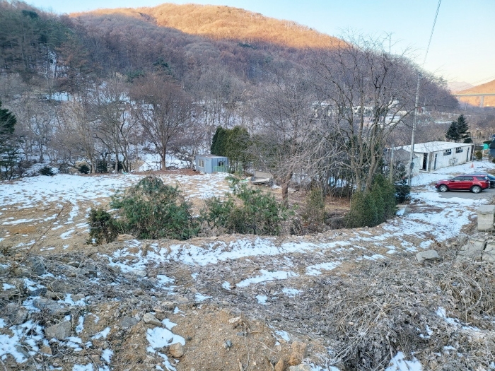 사진 17