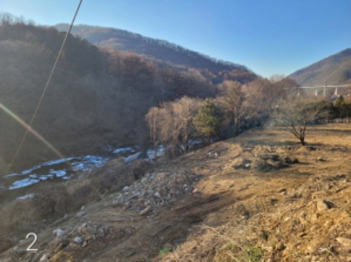 사진 3