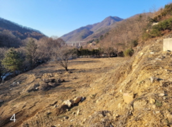 사진 6