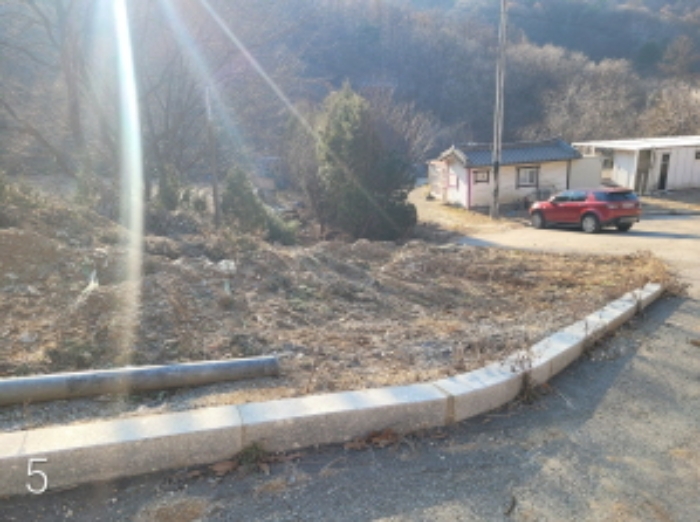 사진 7