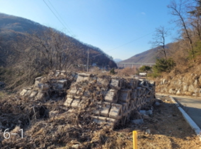 사진 9