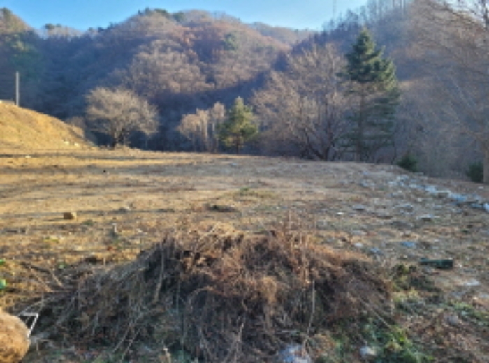 사진 10