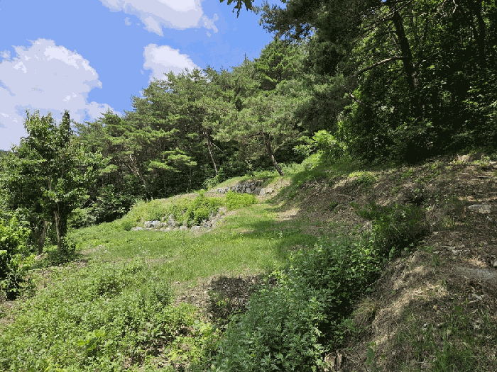 사진 5