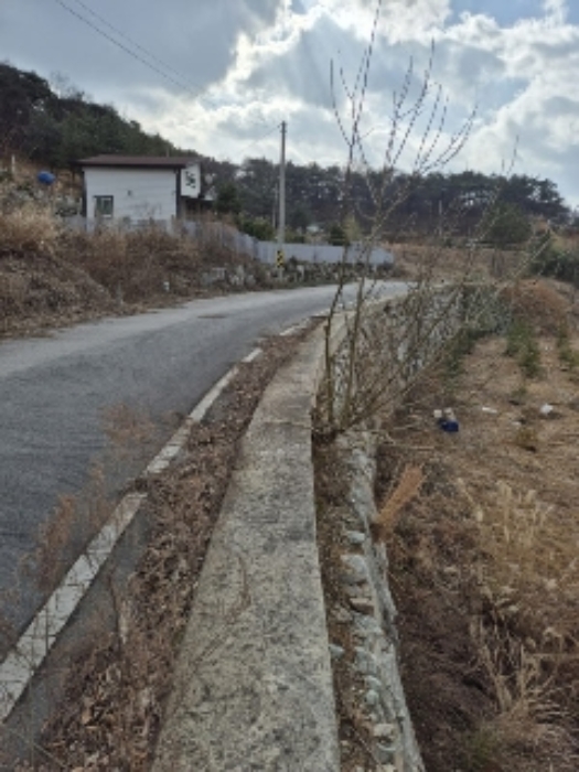 사진 6