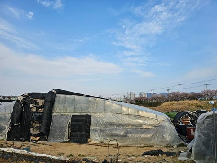 사진 15