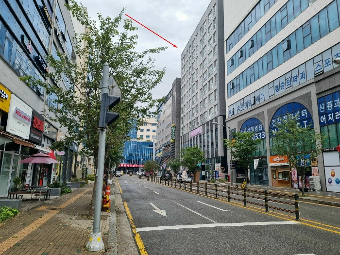사진 10