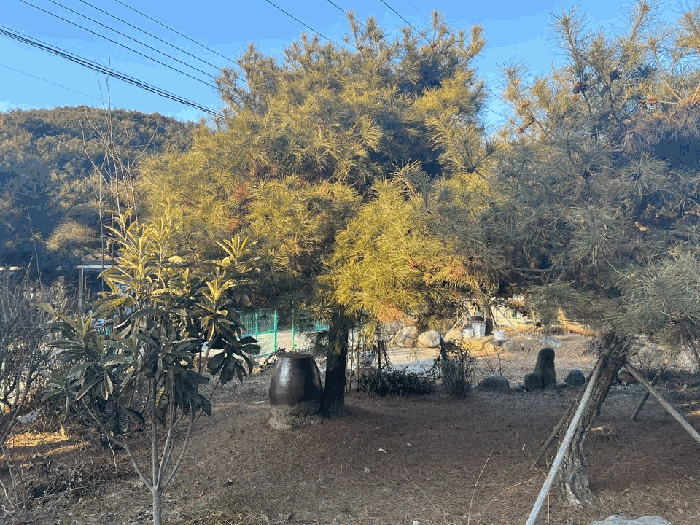 사진 1