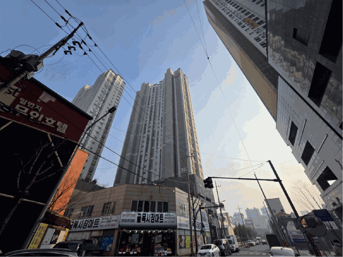 사진 7
