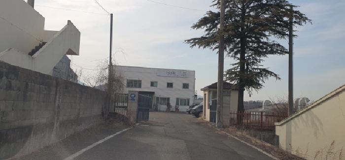 사진 2