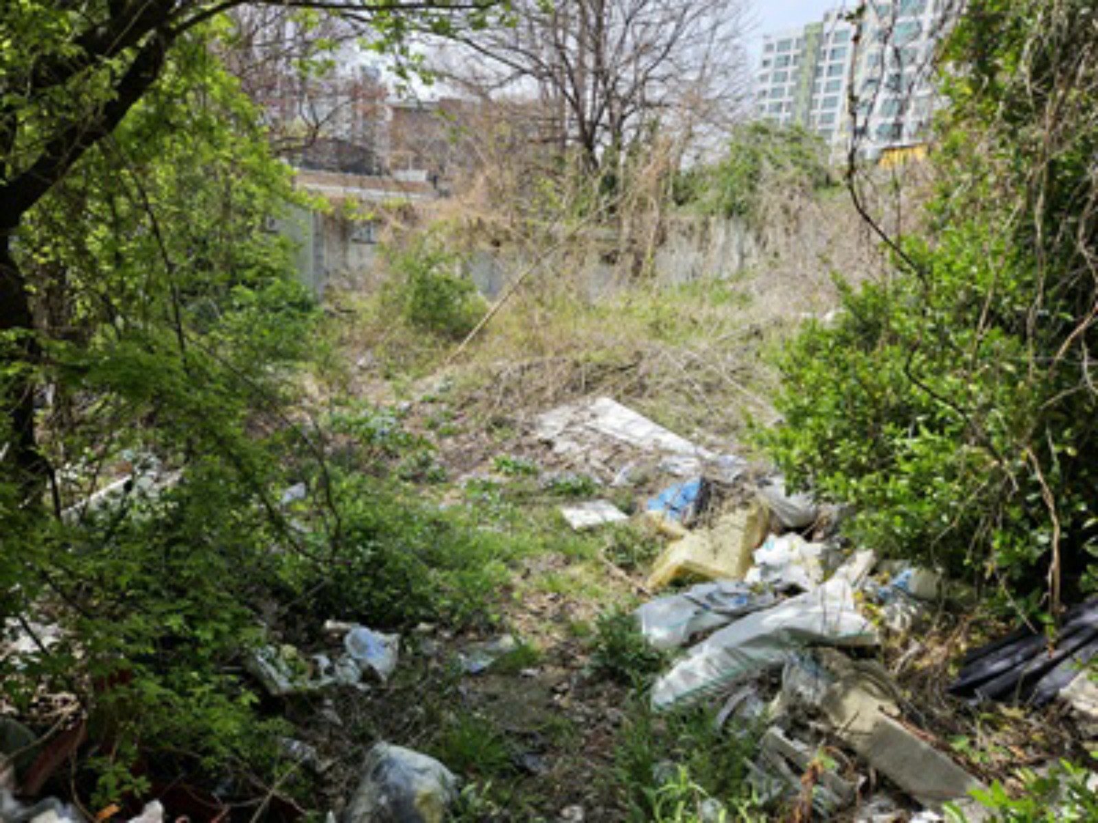 사진 1