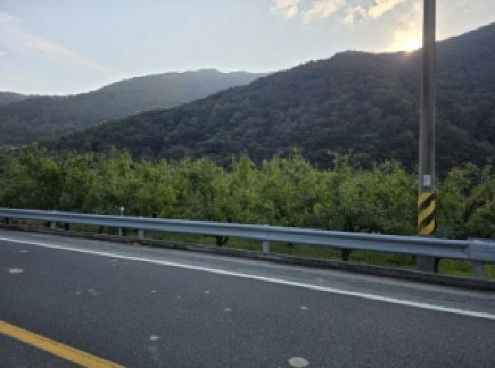 사진 7