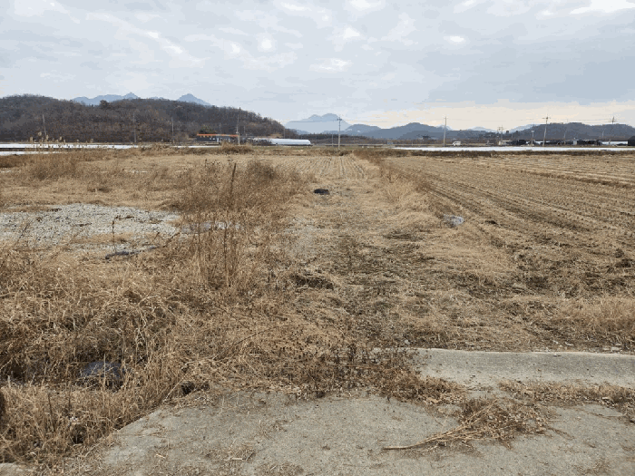 사진 4