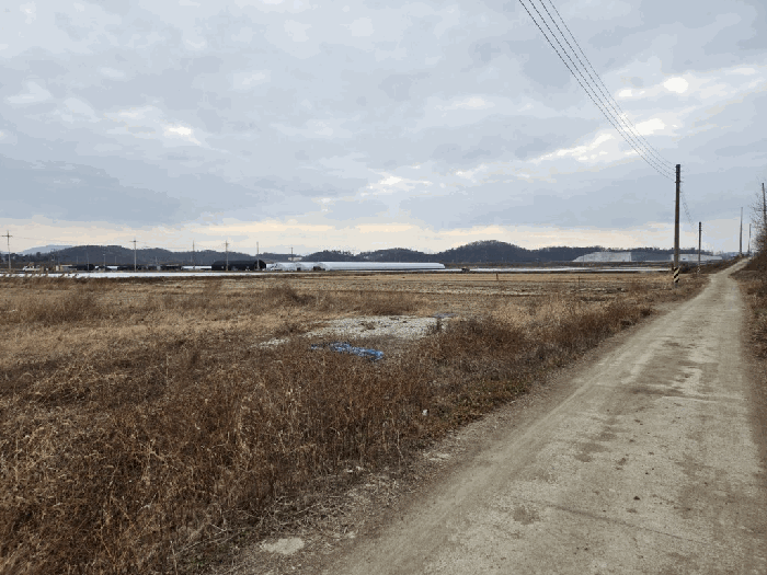 사진 5