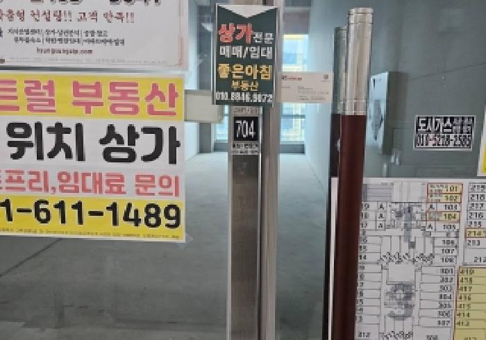 사진 5