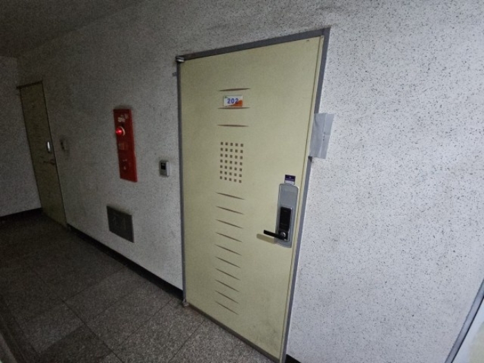 사진 4
