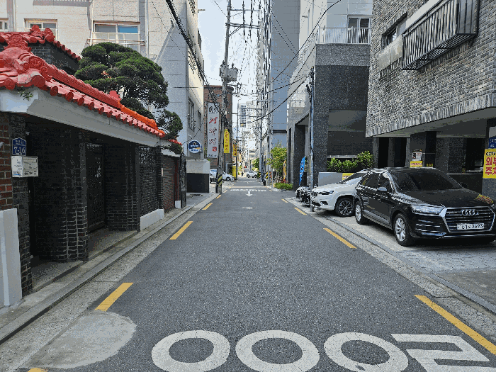 사진 5
