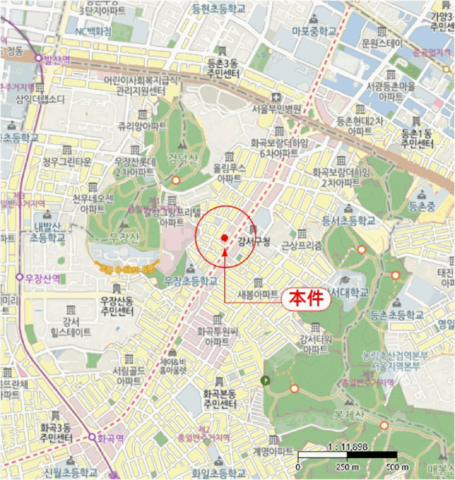 사진 6