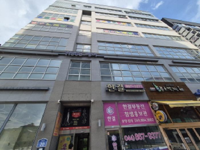 사진 11