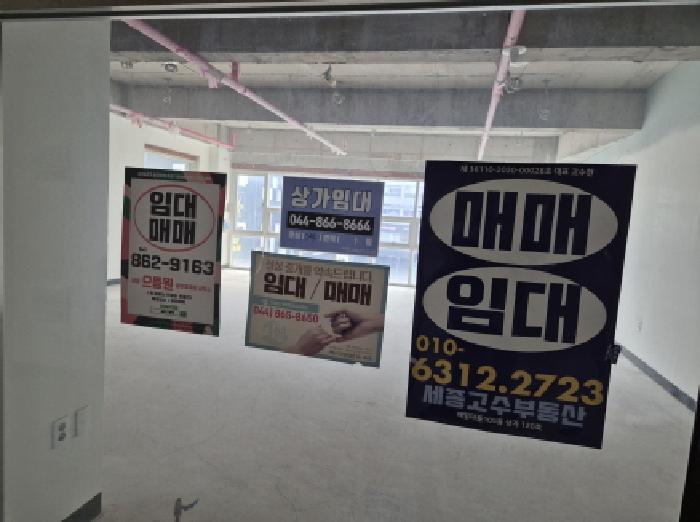 사진 16