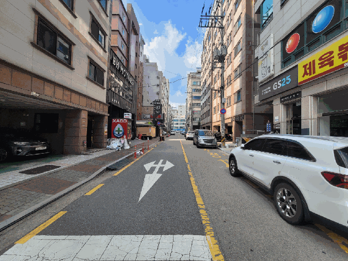 사진 12