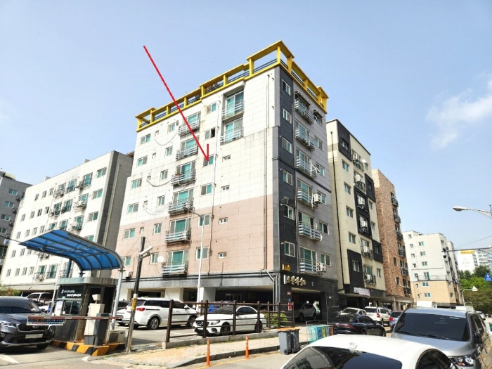사진 10