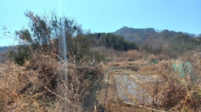 사진 3