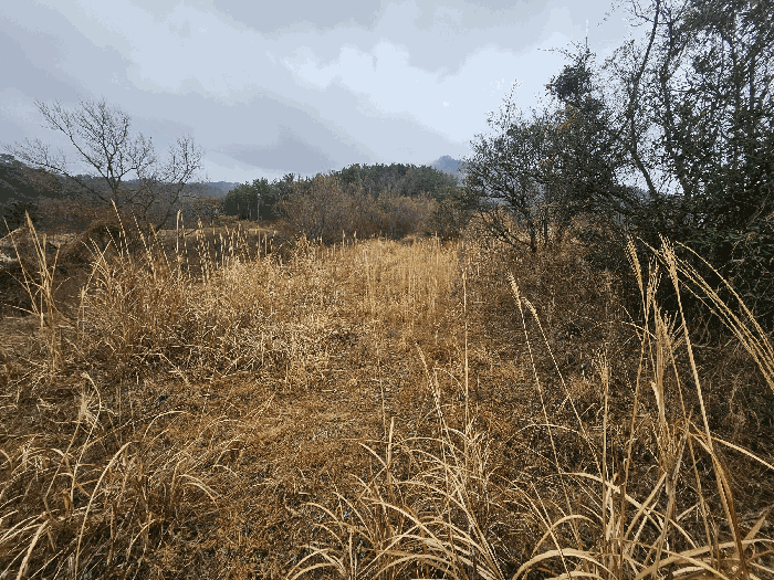 사진 5