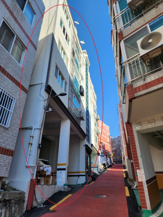 사진 5