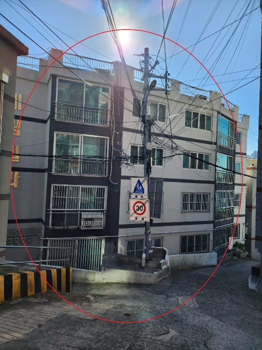 사진 9