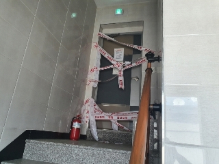 사진 12