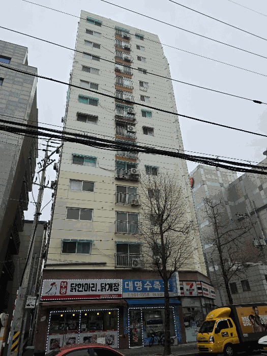 사진 10